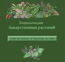 Как заваривать льняное семя для похудения